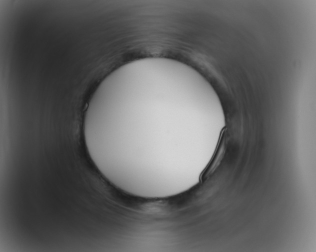 X0000088460505200706191331