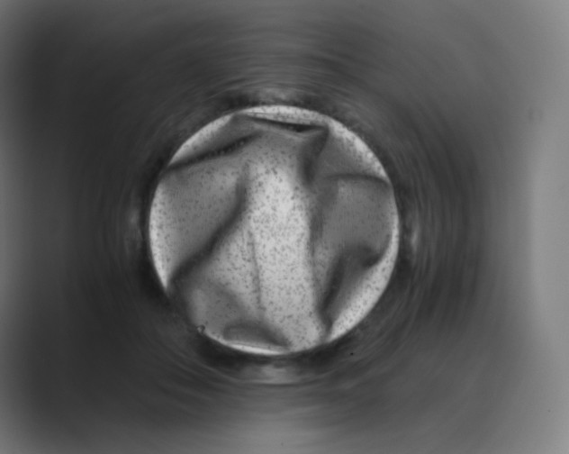 X0000088460506200706191331