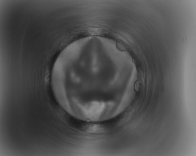 X0000088460507200706191331
