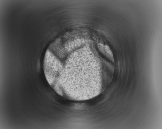 X0000088460508200706191331