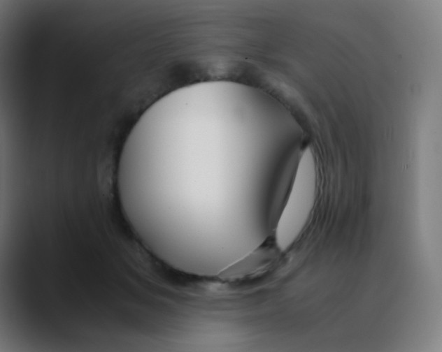 X0000088460509200706191331