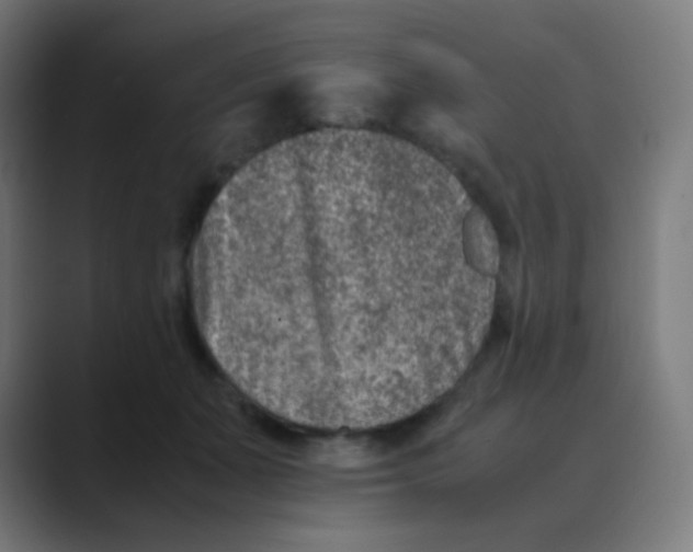 X0000088460511200706191331