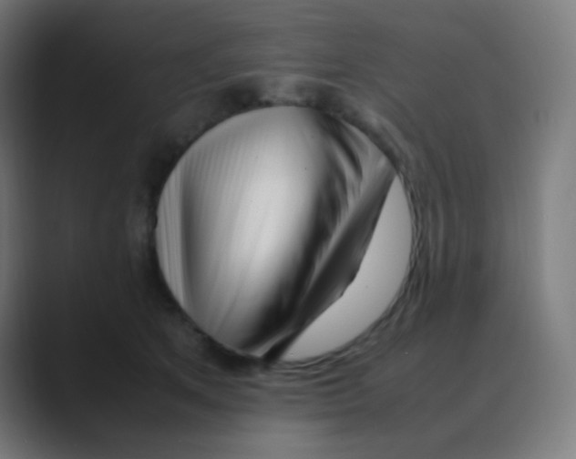 X0000088460513200706191331