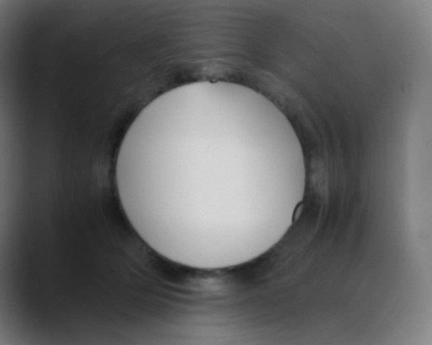 X0000088460514200706191331