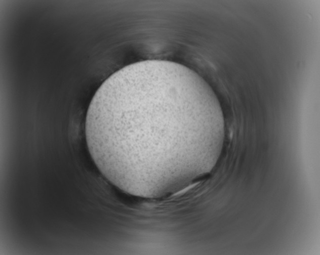 X0000088460515200706191331