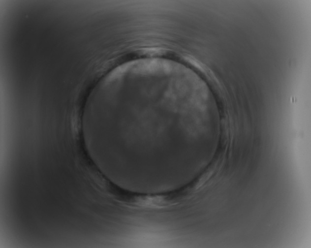 X0000088460517200706191331