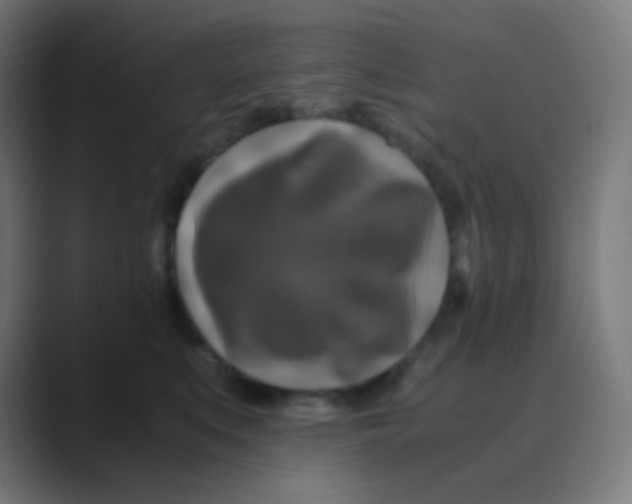 X0000088460519200706191331