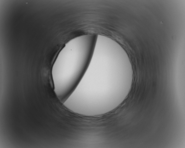 X0000088460521200706191331