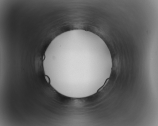 X0000088460522200706191331