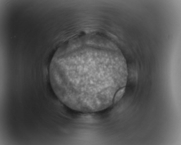 X0000088460523200706191331