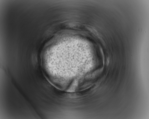 X0000088460524200706191331
