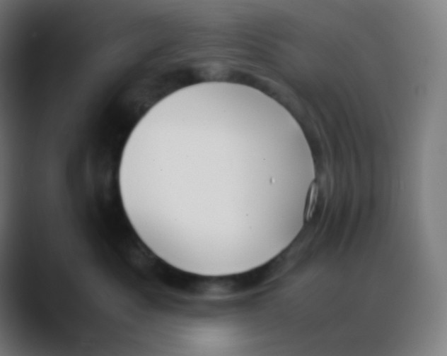 X0000088460525200706191331