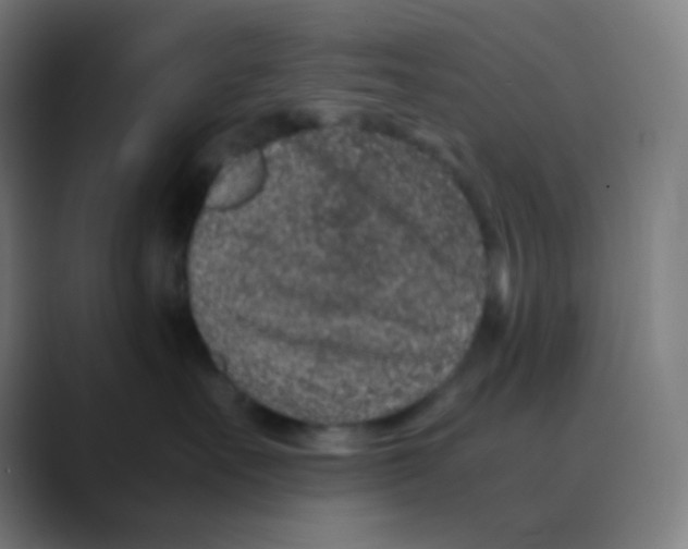 X0000088460527200706191331