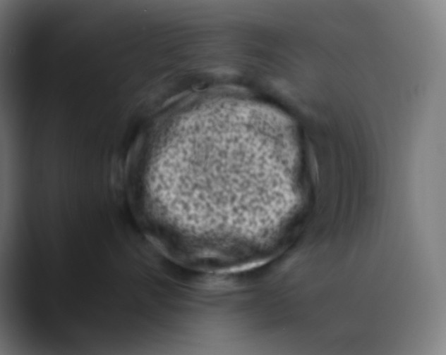 X0000088460528200706191331