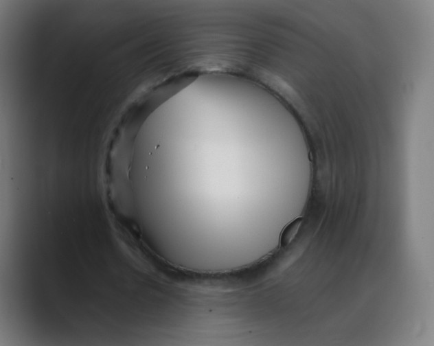 X0000088460530200706191331