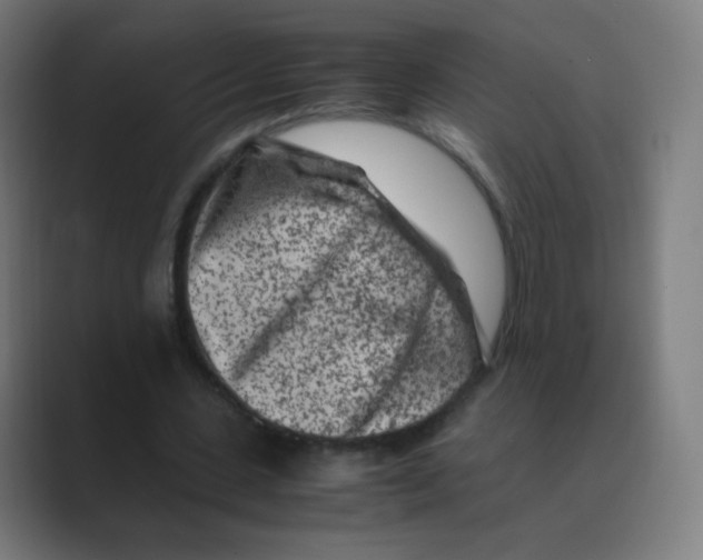 X0000088460531200706191331