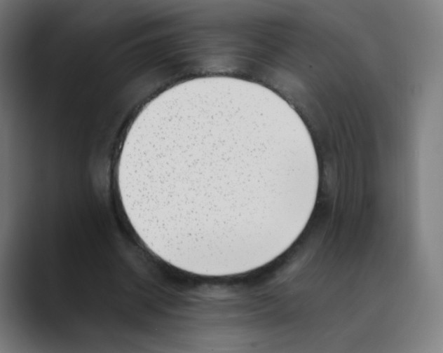 X0000088460534200706191331