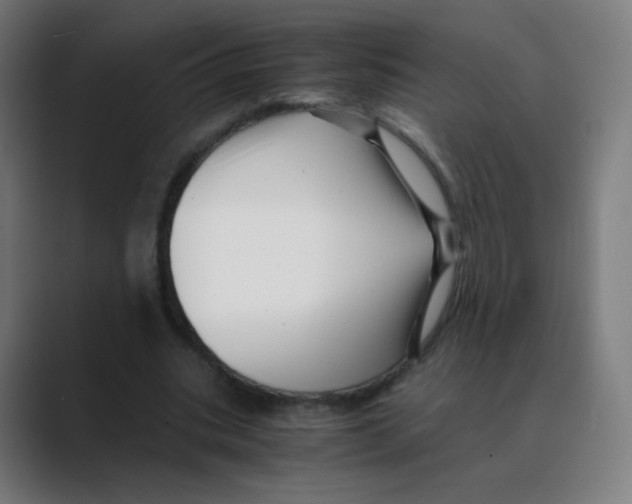 X0000088460535200706191331