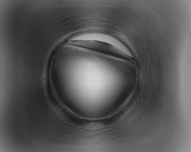 X0000088460536200706191331