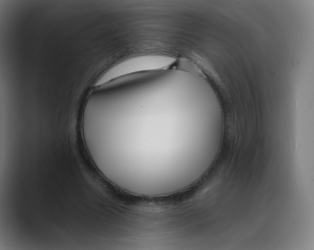 X0000088460538200706191331