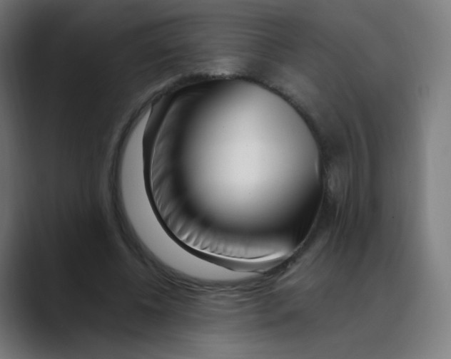 X0000088460540200706191331