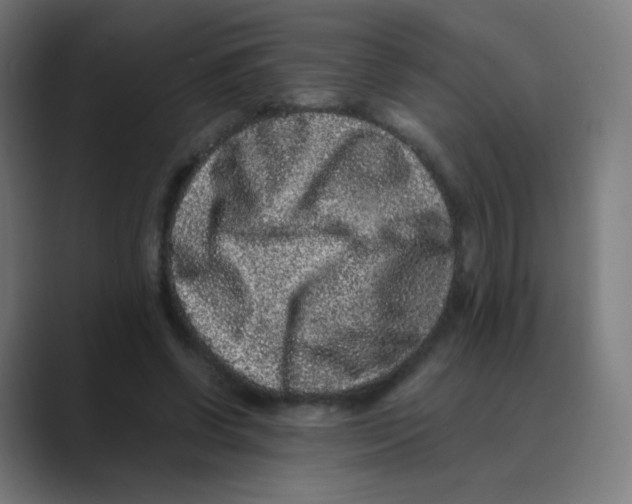 X0000088460542200706191331