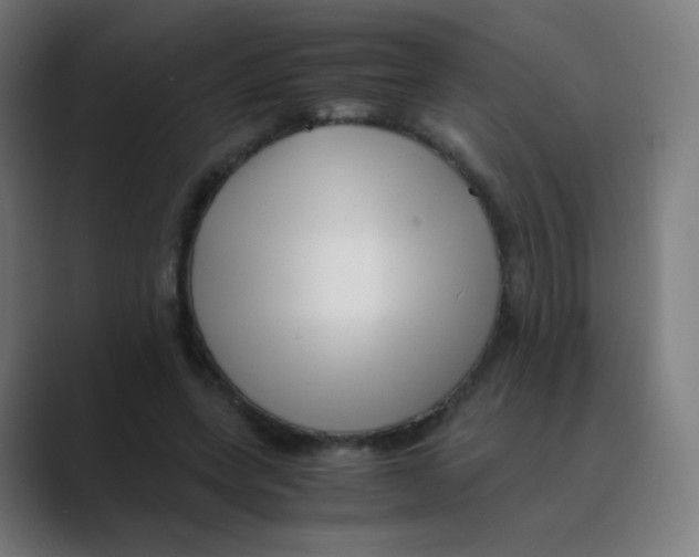 X0000088460543200706191331
