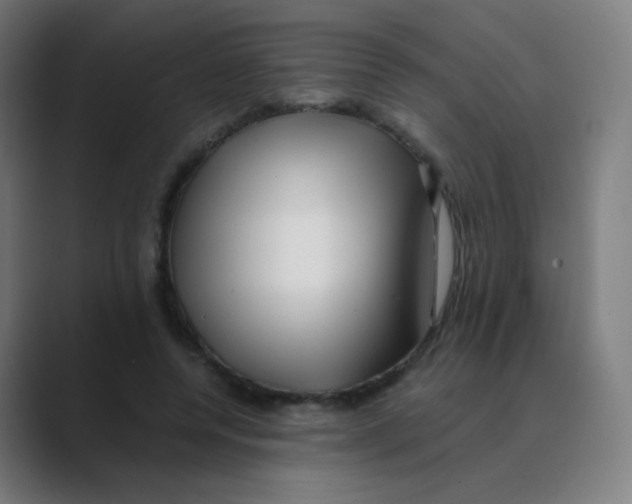 X0000088460544200706191331