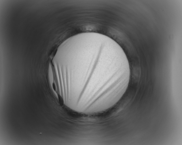 X0000088460545200706191331