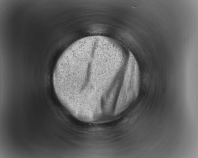 X0000088460547200706191331