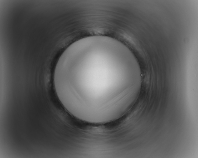 X0000088460548200706191331