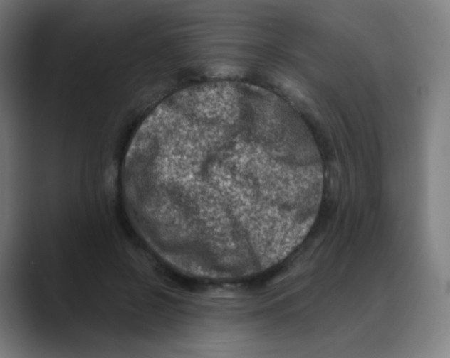 X0000088460550200706191331