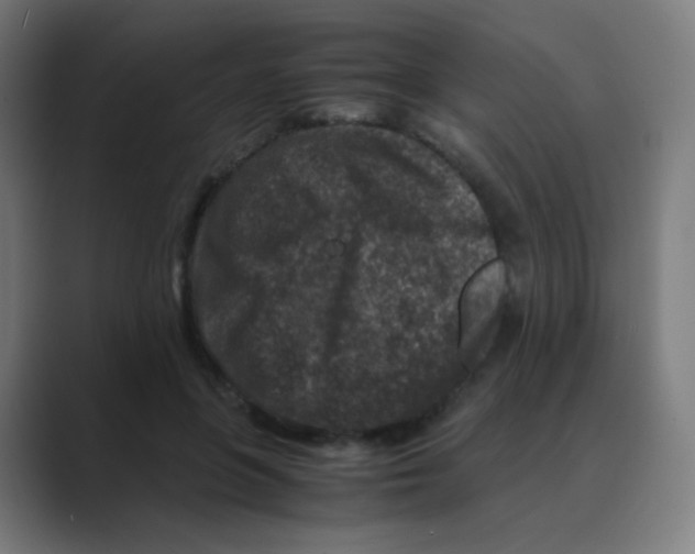 X0000088460551200706191331