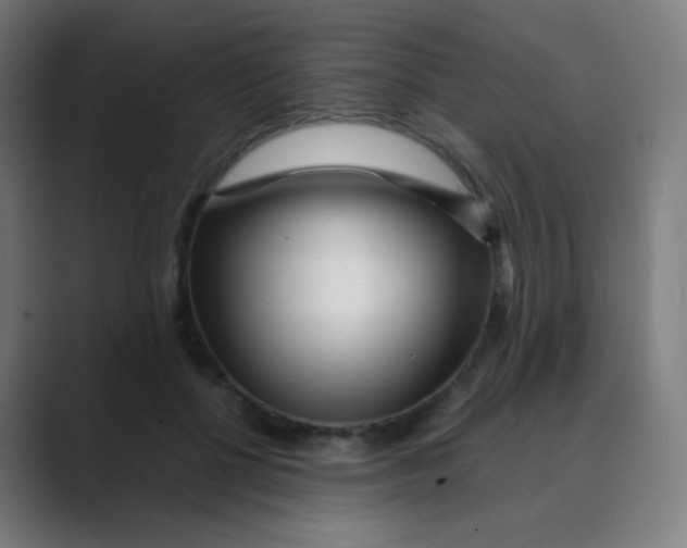 X0000088460552200706191331