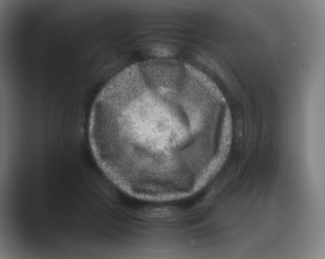 X0000088460553200706191331