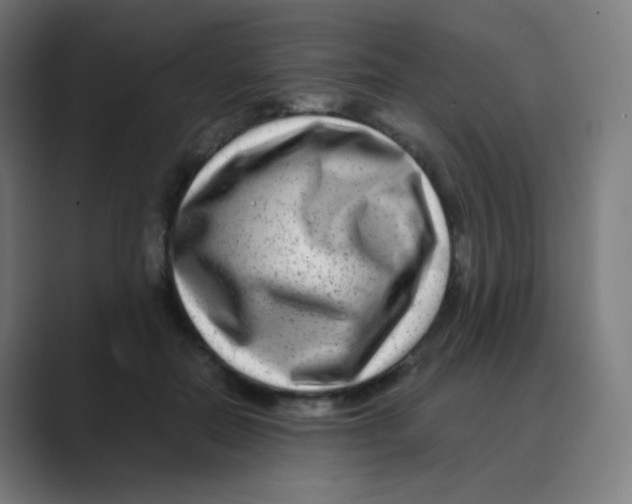 X0000088460554200706191331