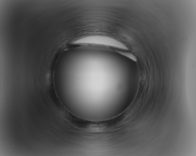 X0000088460556200706191331