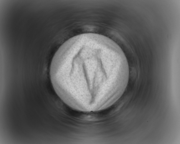 X0000088460557200706191331