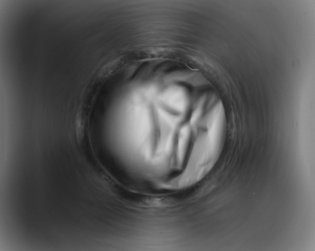 X0000088460558200706191331
