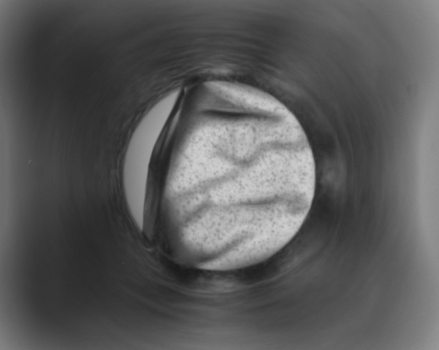 X0000088460559200706191331