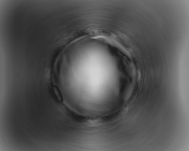 X0000088460560200706191331