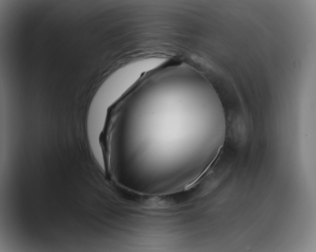 X0000088460562200706191331