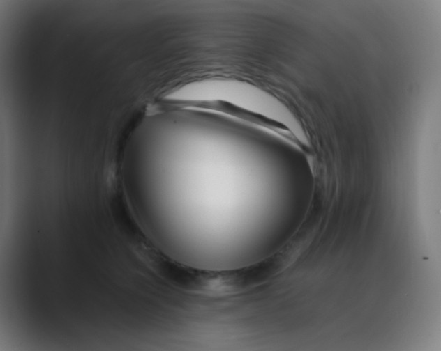 X0000088460564200706191331
