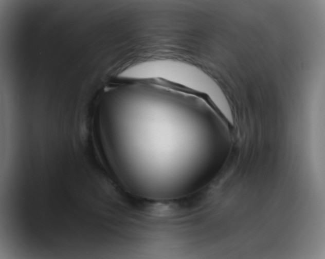 X0000088460566200706191331