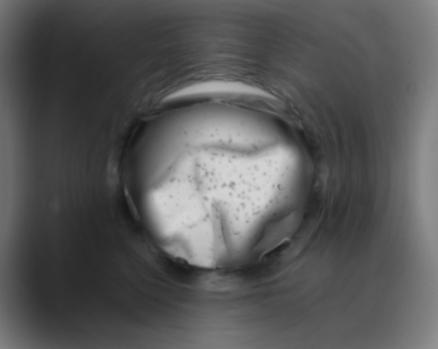 X0000088460568200706191331