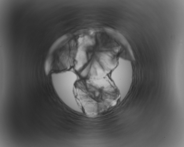 X0000088460569200706191331
