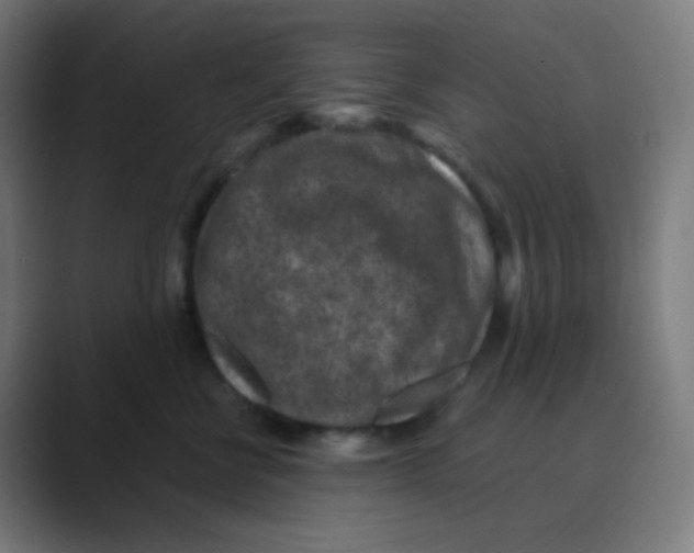 X0000088460570200706191331