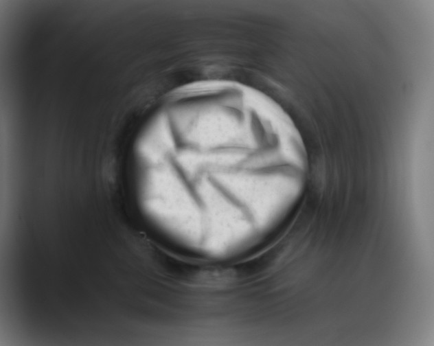 X0000088460571200706191331