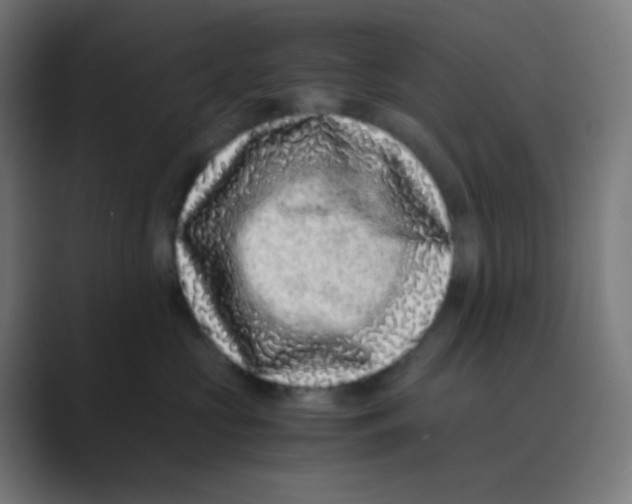 X0000088460573200706191331