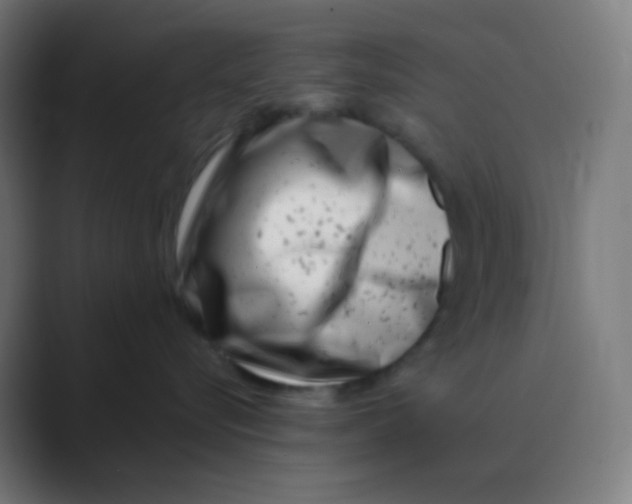 X0000088460576200706191331